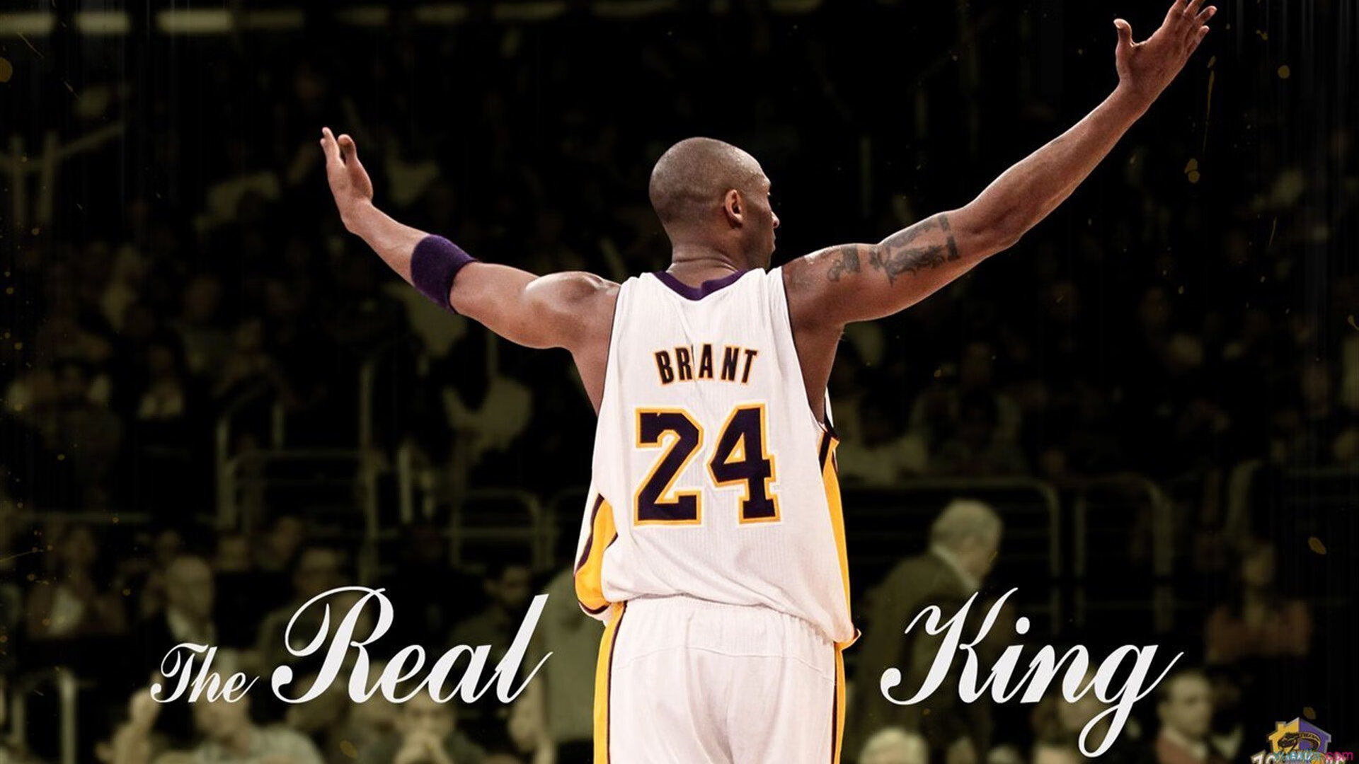 新星闪耀!天才前锋上演帽子戏法助球队大胜晋级