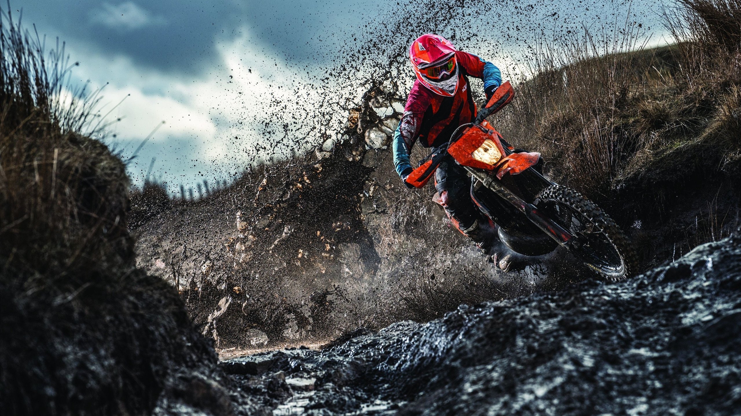 滑板运动风靡全球，年轻选手闪耀国际赛场